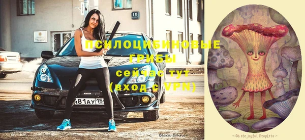 мяу мяу мука Новодвинск
